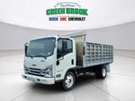 2025 Chevrolet Low Cab Forward 5500 HG MEDIUM ASH GRAY