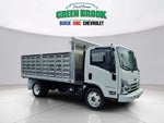 2025 Chevrolet Low Cab Forward 5500 HG MEDIUM ASH GRAY