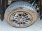 2026 Toyota Tundra 4WD Limited